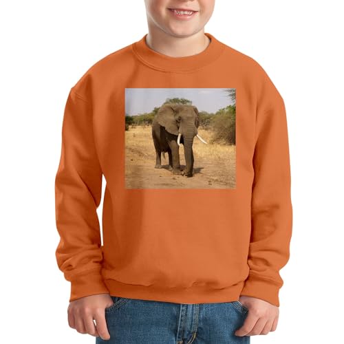 Sweatshirt enfant éléphant d'Afrique pull chaud résistant pour l'école
