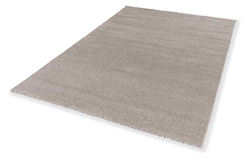 pflegeleichter Wohnzimmer Teppich Pure — antistatischer Flur Teppich — Kurzflor Teppich — (160x230cm, beige) Cover