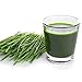 Handy Pantry HJ Hurricane Stainless Steel Manual Wheatgrass Juicer