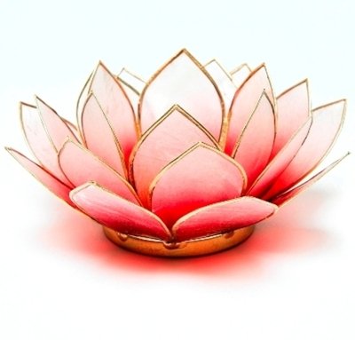 Mystery Mountain Lotus - Portavelas (Metal, 15 x 15 x 7 cm), Color Dorado Cover