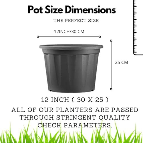 Hug A Plant | Heavy Duty Black Plastic Planter | Grower Pot/Garden Pot with Black Tray for Home & Garden (12INCH | 30CM) (Pack of 1)