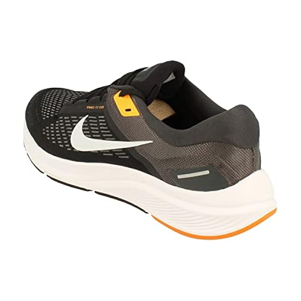 NIKE Air Zoom Structuur 24 heren Sneaker