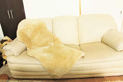 [gO I[XgAY  [g VRE[ V[vXL \t@Jo[ _炩ё O rO[p (x[W, 60x130cm)