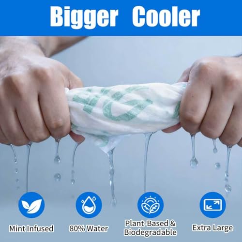 Image of 10 Pack Cooling Body Wipes, Alcohol-Free Cooling Towelettes Cooling Towel Alternative for Outdoor Sports, Camping, Hiking, Workout & Hot Weather(Green)