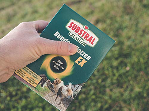 Substral Celaflor Hunde & Katzen Ex, Hund, Marder und Katze Abwehr und Vertreibungsgranulat, mit Sofortwirkung, 200g (Packung mit 2)