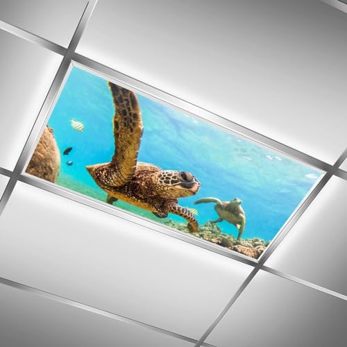 Image of 2 Pack Fluorescent Light Cover for Ceiling Light Classroom-Sea Turtle Magnetic Light Cover Fluorescent Light Shade Panel, Decorative Film Filter for Reducing Harsh Glare Home Decorations