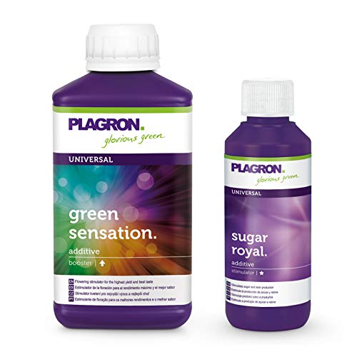 Green Sensation di Plagron - DolceVita