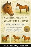 quarter horse grigio  Amerikanisches Quarter Horse für Anfänger: Der richtige Start mit dem American Quarter Horse Pflege, Training & Begleiter