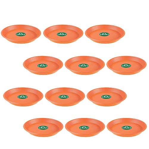 TrustBasket UV Treated Bottom Tray(Plate/Saucer) Suitable for 6 inch Plastic Pot - Terracotta Color - Set of 12