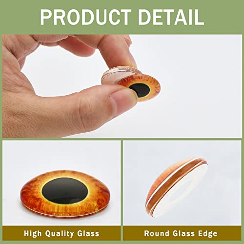 CHGCRAFT 30Pcs Luminous Cat Eyes Glass Cabochons Glow in The Dark Half 15 Style Round Animal Eyes Flatbacks Googly Eyes for DIY Craft Necklace Bracelet Making 20mm - Image 3