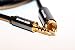 Extreme Audio 3.5mm Stereo (4 Pole) to RCA Digital Coaxial Audio Connection Cable for FiiO X3 2nd Generation, FiiO X5 2nd Generation and Fiio X7 (6ft)