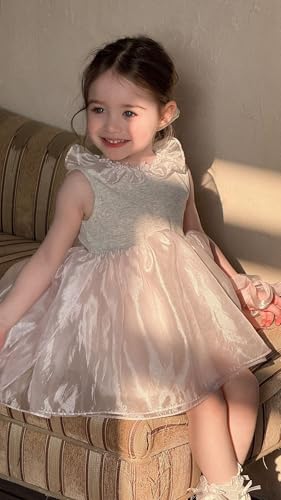 2-8Y Toddler Summer Sleeveless Dress,Princess Style for Girls,Toddler Summer Party Dress with Ruffled Round Neckline3