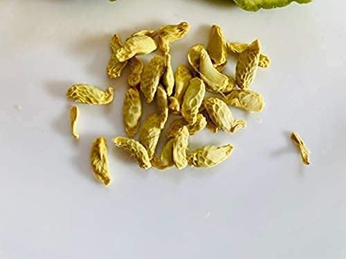 Miniatura 2 de Kaffir Lime Tree 100 piezas Semillas Frescas Garantía, Flor y Fructificación