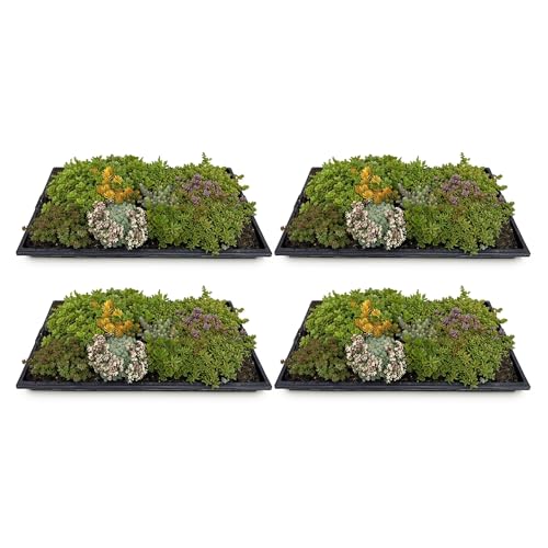 GreenboutiQ - Bodendecker - Winterhart - Sedummatte - Besteht aus 10 Sorten - X4 - Wenig Pflege - Länge 50cm Breite 30cm