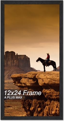 A PLUS MAX 12x24 Picture Frame Black Light Weight Wall Mount