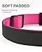 TagME Airtag Dog Collar,Waterproof Reflective Pet Collar with Airtag Holder,Soft Padded and Double D-Rings for Medium Dogs,Hot Pink