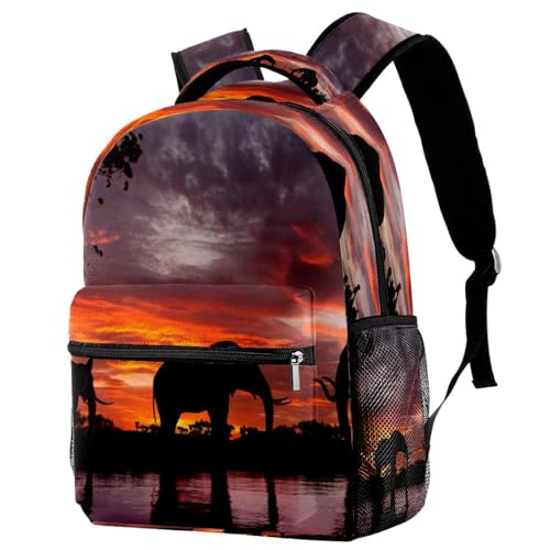 Sac à dos d'école et voyage pour adolescents fille garçon motif coucher de soleil