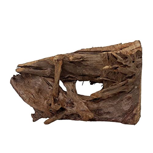 AquaOne Ornement de racine d'aquarium XL - Racine de mangrove aquascaping - En bois véritable - N° 6768 - Décoration en bois - Plantes aquatiques - Paysage - Mousse naturelle