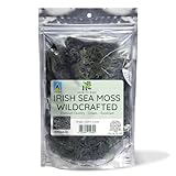 Herb To Body Green Irish Sea Moss – 4oz, Wildcrafted Raw Sea Moss for Seamoss Gel, Smoothies, Drinks, and Traditional Culinary Preparations