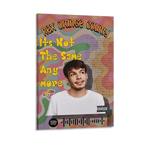 Poster Rex Orange County 10 tableau toile décoration salon 60x90