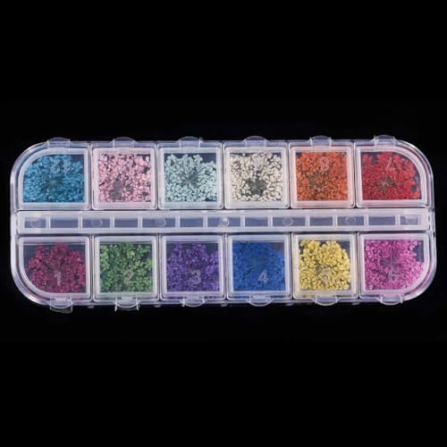 Kit 24 piezas flores secas para manualidades y decoración miniatura 1