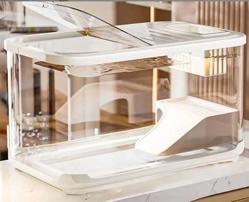   vX`bN  A͔|    fXNgbv   ItBX fXN  ^ (zCg)