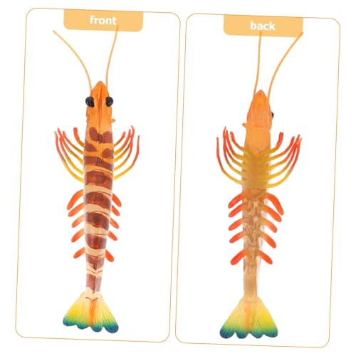Toyvian Deko-Garnele Modell wie echt – Detailgetreue Simulation Meeresfrüchte Pädagogisches Naturkunde Spielzeug für Schule Kindergarten Robustes Kunststoff Tierfigur Set für Sammler Meeres-Deko