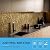 Hexagon Peel and Stick Metal Backsplash, 10-Sheet Peel and Stick Tiles Hexagon Mosaic Tile Stick on Backsplash for Kitchen Bathroom Fireplace