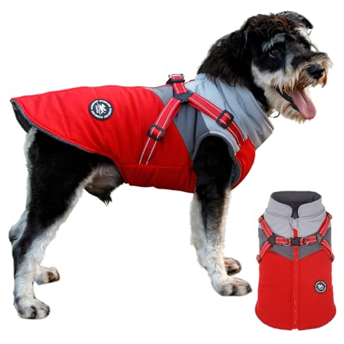 Norbi Small Dog Winter Jacket with Harness - 2 in 1 Puppy Coat