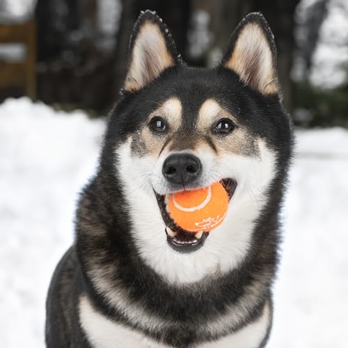 Image of Best Pet Supplies Interactive Squeaky Dog Chew Toy, Ideal Dog Toys for Chewers, Small, Medium & Large Dogs, and Fetch Lovers - Tennis, Medium (Pack of 4)