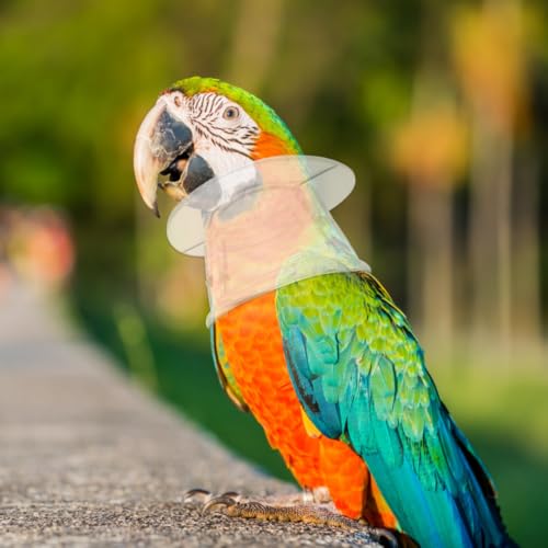 Image of balacoo Parrot Anti-Bite Collar Adjustable Neckband for Plucking Prevention in Macaw Cockatoo Small to Medium Birds Durable Acrylic 3.14X3.14X1.69 Inch