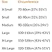 LumboTrain Back Support Size: 4