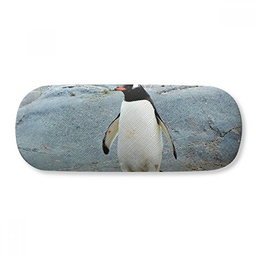 Caixa de óculos de sol com pedra da Antártica, pinguim, natureza, estojo, estojo rígido para armazenamento de óculos, Multicor