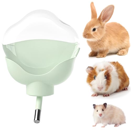 mini&moe Flat Back Water Bottle