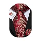 Hi-Tie Silk Paisley Ties for Men Necktie Pocket Square Cufflinks Set Foral Tie Sets Formal Business,Gold Red