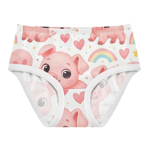 Cotton Toddler Underwear Floral Cute Cartoon Pink Rainbow Panties for Girl Funny Underpants Briefs 2t