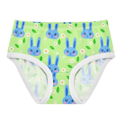 Cute Bunny Rabbit Flowers Floral Green Toddler Girls's Underwear 2T 2301878