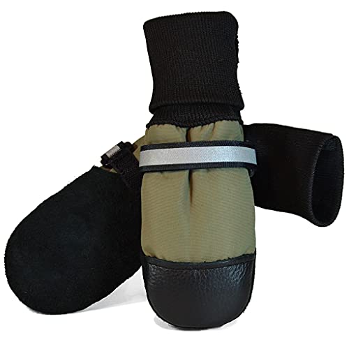 8 Best Booties for Dogs [2023 Reviews] Protecting Your Pup's Paws!
