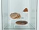 Janaden Acryl Riser Display Ständer Durchsichtig Vitrine Display Regal für Pop Figuren, Sammlerstücke, Cupcake, Schmuck, Einzelhandel, Treppen Deko Aufsteller für Produkpräsentation (6 Stück)