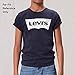 Levi's Boys' Toddler Graphic T-Shirt, Alhambra Snow, 3T