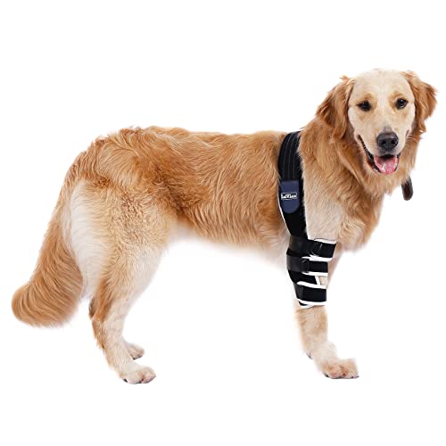 List of Top Ten Best Elbow Pads On Dogs Top Picks 2023 Reviews