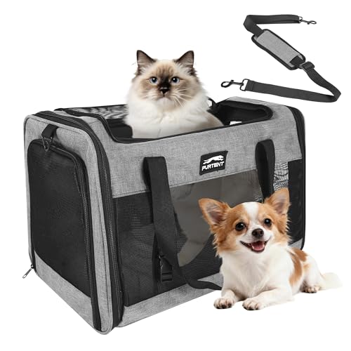 Rated 4.8 out of 5 stars from 4 reviews