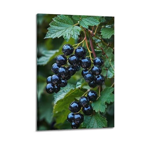Poster mural cassis ZHOUKEG pour habiller un mur vide sans percer de cadre