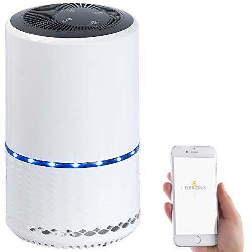 Sichler Haushaltsgeräte Purificatore d'aria: Purificatore d'aria con ionizzatore, Filtro aria 2in1, WiFi e app, fino a 30 m² (filtro dell'aria Con HEPA)