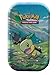 PokÃ©mon TCG: Sinnoh Stars Mini Tin - Turtwig, Luxray (2 Booster Packs & 1 PokÃ©mon Art Card)