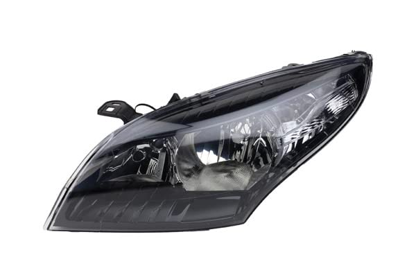 Fari alogeni adatti per Renault Megane III 08-12 Set di lampadine Li Re