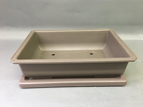 30cm Maceta De Plástico Bonsai Con Bandeja A Juego (Incluye Franqueo)