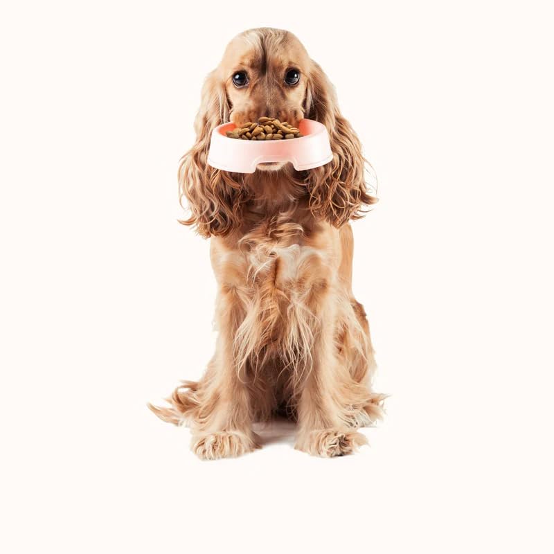 Love4Dogs Kokos-Brocken 1000g für Hunde, 1kg Preßkuchen, vegetarischer Pflege-Snack