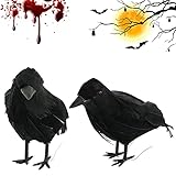 ✓【Atmosphäre des Grauens】Perfekte Requisiten-Dekoration für Halloween-Dekorationen, Rabe, komplett schwarzes Design, Pair mit Halloween-Lichter, Grabstein und andere gespenstische Requisiten, um das diesjährige Halloween-Haunt-Dekor zu einem sensationellen zu machen.