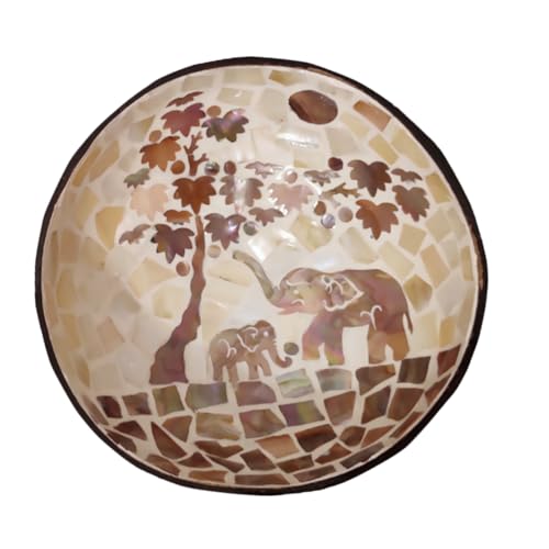 HIAKDOFT Tazón De Dulces y Nueces De Cáscara De Hecho a Mano, Tamaño Mediano, Material Ecológico Natural, Multifuncional Para Almacenamiento El Hogar, Adecuado Para Decoración y Servir Snacks